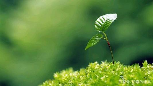 朋友们感到不满一种舒适的工程句子