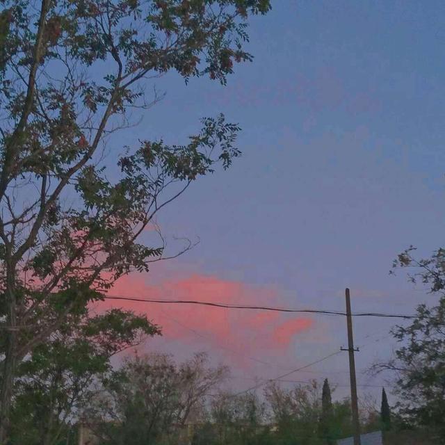 关于友谊的人工陈述2