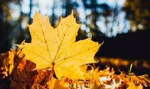 描写大家一起玩的很开心的句子