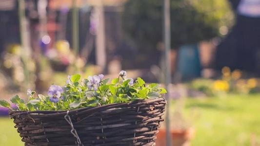 15.质量好不打开。