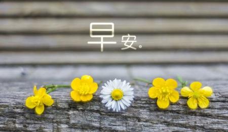 爱人格幸福句子