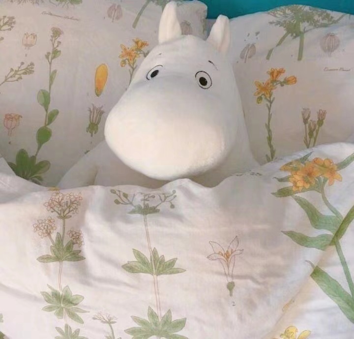 关于情绪的诗意短句