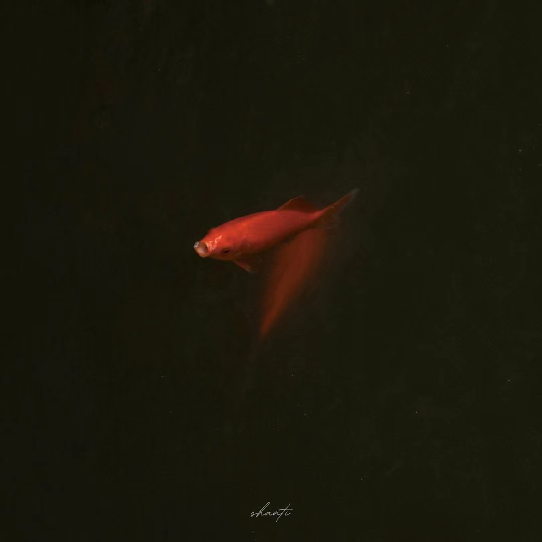 回忆悲伤的句子2