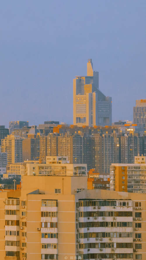 从来没有看过诗歌