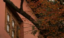 对爱情难过失望句子