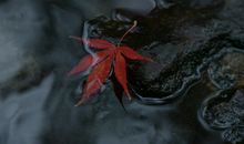 失望难过伤感句子