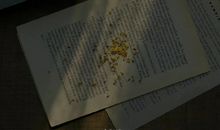 关于等待的诗意句子