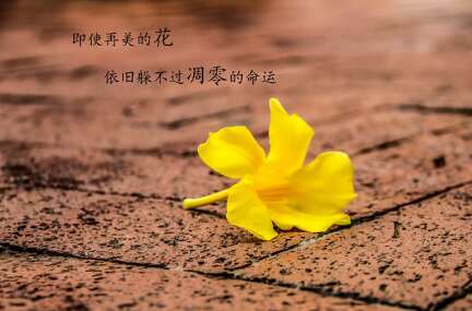 朋友圈秒简单简短的谈话