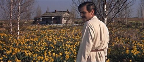 Twaigo博士的经典报价