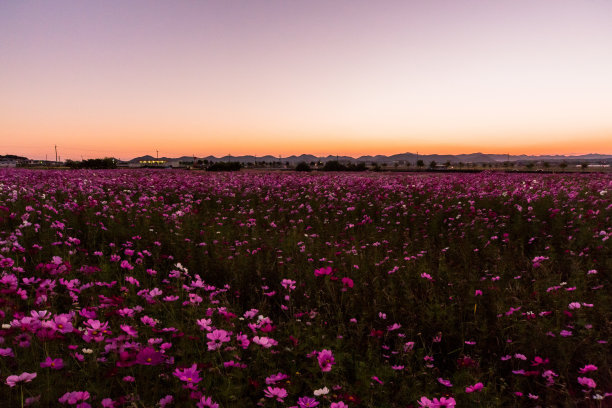 描述友谊伤害的判决