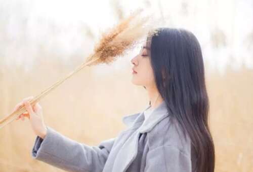 句子1由友谊伤害朋友1