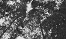 友情到了尽头的句子