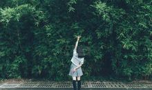 友情越来越淡的句子