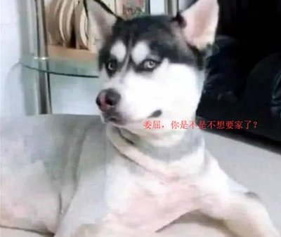 看到真正的朋友我有烦恼。