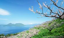 友情输给了爱情的句子