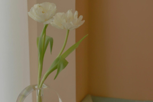 中华民国喜欢在中华民国迷人