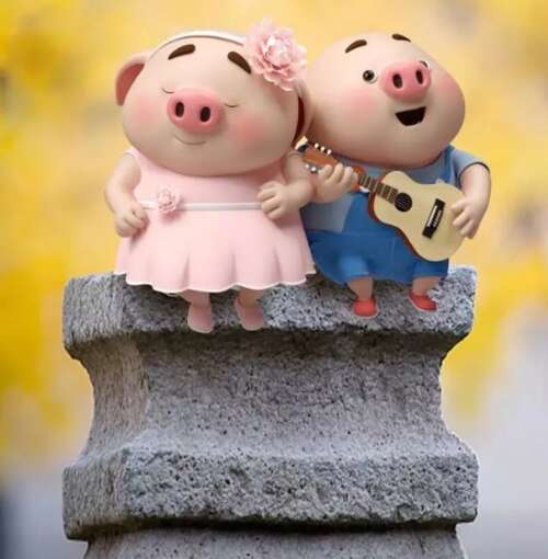 新年向男朋友问候2