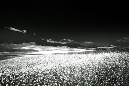 写得越来越麻烦，我想离开这句话