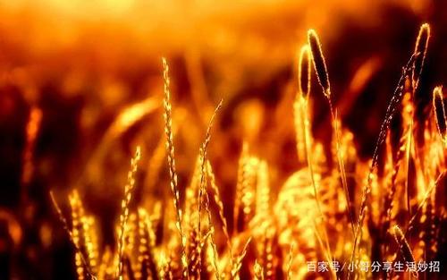 我心烦意乱，看看谁是快乐的孩子1