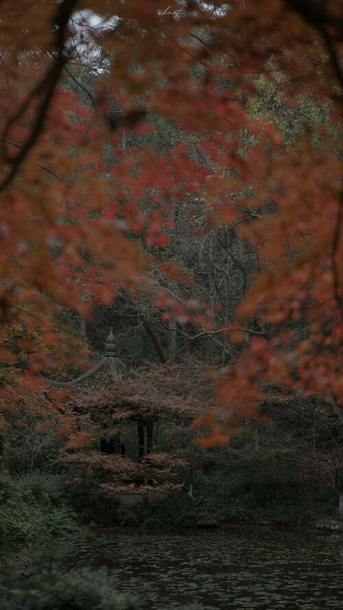 通过悲伤的句子1