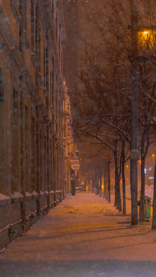 胸部和悲伤的句子