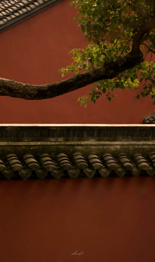 Lover 1聘请的句子