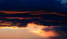 友情与金钱的经典句子