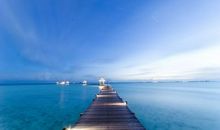 元曲中关于友情的句子