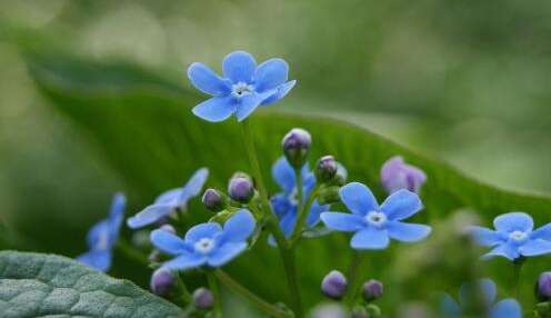 15.我见过最平静的女人，我从未发生过发短信给我的男朋友，问她是怎么回事？她说：如果他不忙，他会联系我。如果他忙，我忙什么打扰他？如果他不忙，他会联系我，然后我联系他所做的事？