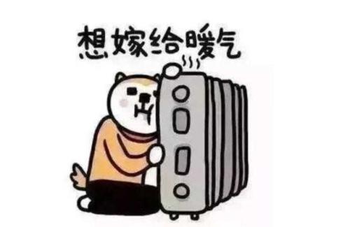 寒冷的图片可爱颤抖1