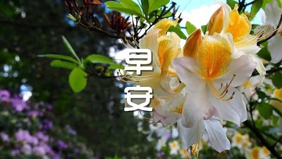 适合12月的朋友判刑