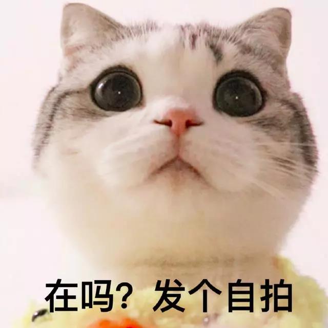 Selfie说话，简单的美丽1