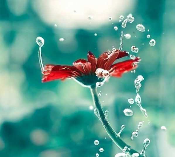 2020摇动最受欢迎的英语谈话