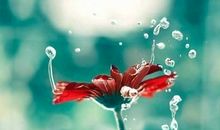 2020抖音最火的英语说说