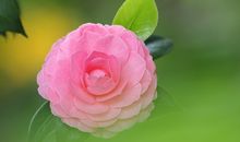 亲情令人心酸的句子