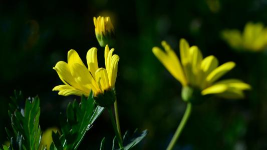 感情之间有点无效句子