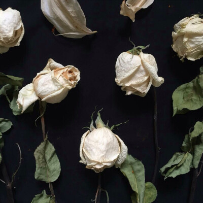 描述该做什么，不知道该怎么做