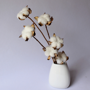 表达心烦意乱和活跃的判决