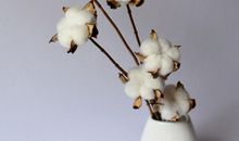 表达心烦又得积极生活的句子