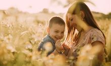 为了亲情付出的句子