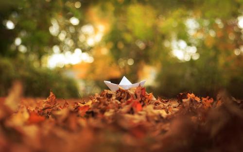 赞美家庭盛宴的句子