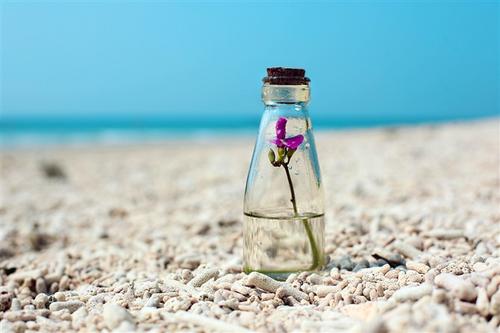 家庭是句子1的厚度