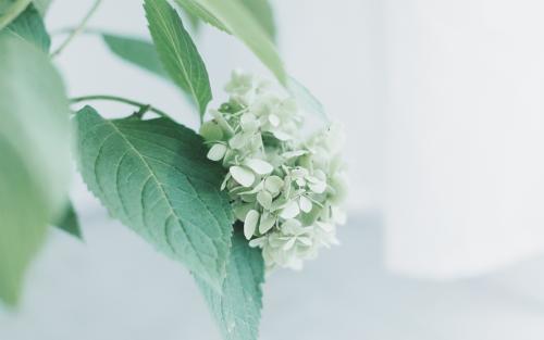 受伤，悲伤，绝望，谈论情绪2的句子