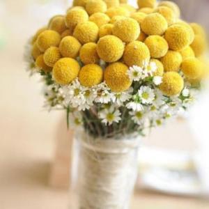 家庭回报的句子2