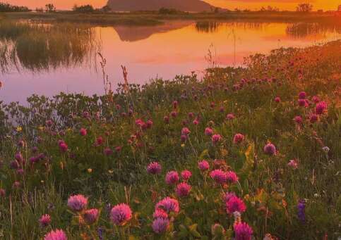 16.真正要做的事情不应该谈论上帝。