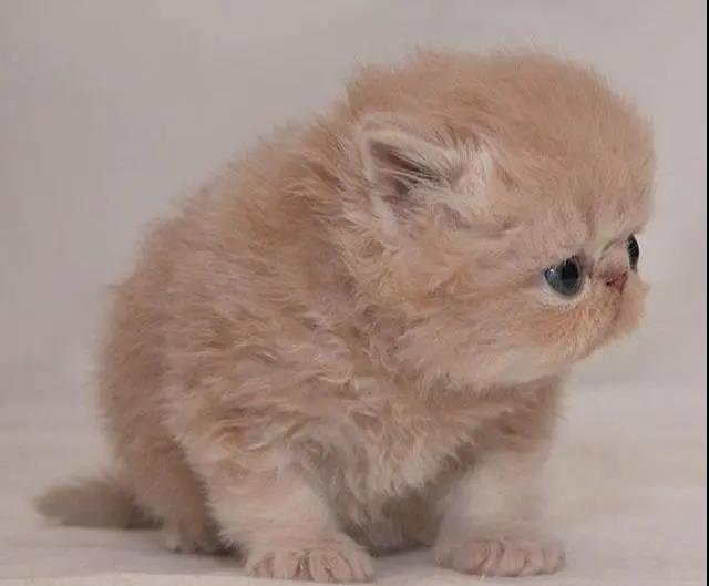 让你猜测结束结束的无穷无尽的句子。