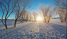 冬季早安暖心话