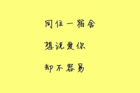 爱诗歌夫妇名字