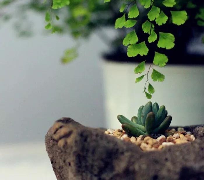 100个句子醒来自己