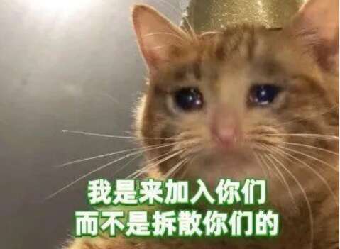 让你留下豁免茶，绿茶，经典句子